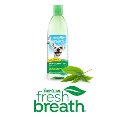 Fresh Breath