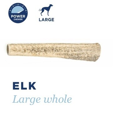 Barkworthies Elk Antler Whole, L