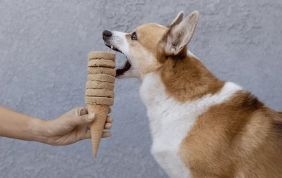 Freeze-Dried Raw