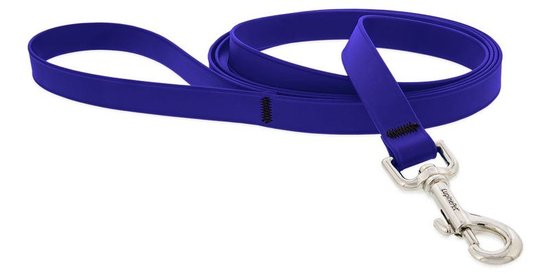 Lupine Splash Waterproof Leash, Color: True Blue, Size: 3/4"-6ft