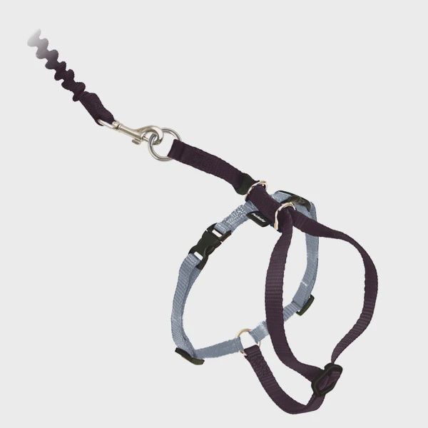 Come With Me Kitty™ Cat Harness &amp; Bungee Leash, Color: Black/Silver, Size: Small