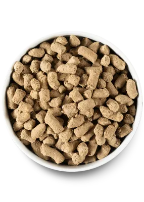 Freeze Dried Raw