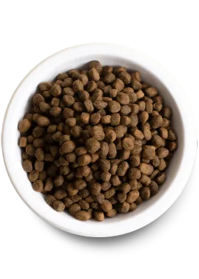 Dry Food