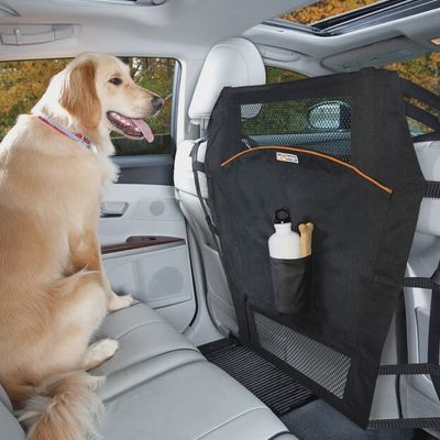 Car Travel