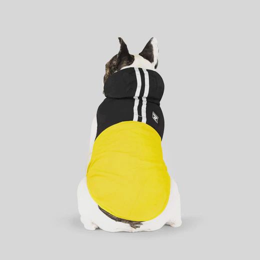 Canada Pooch Pack It Jacket