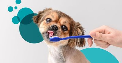 Teeth Brushing