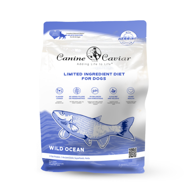 Canine Caviar Wild Ocean - Herring &amp; Teff, Size: 4lb