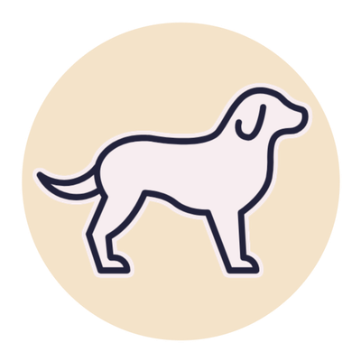 Dishware for Dogs