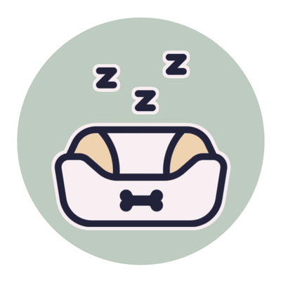 Bedding &amp; Comfort