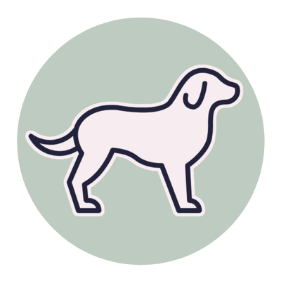 Dog Food