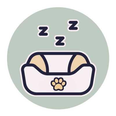 Bedding &amp; Comfort
