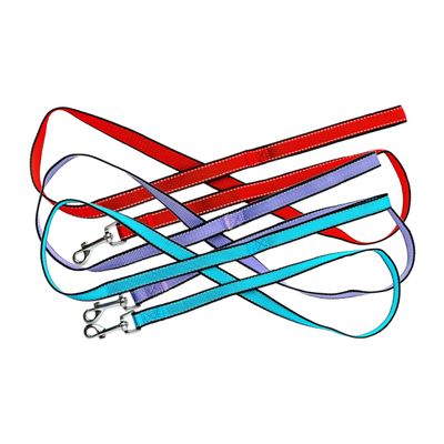 BA Reflective Leash
