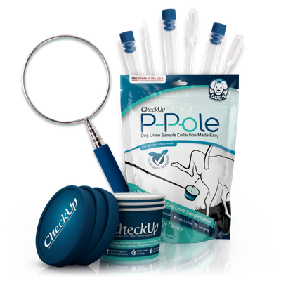 CheckUp P-Pole