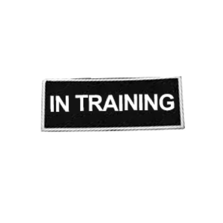 Boss Tactical Patches - In Training