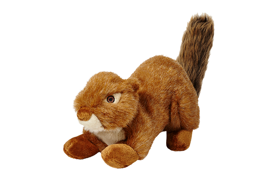Fluff &amp; Tuff - Red Squirrel
