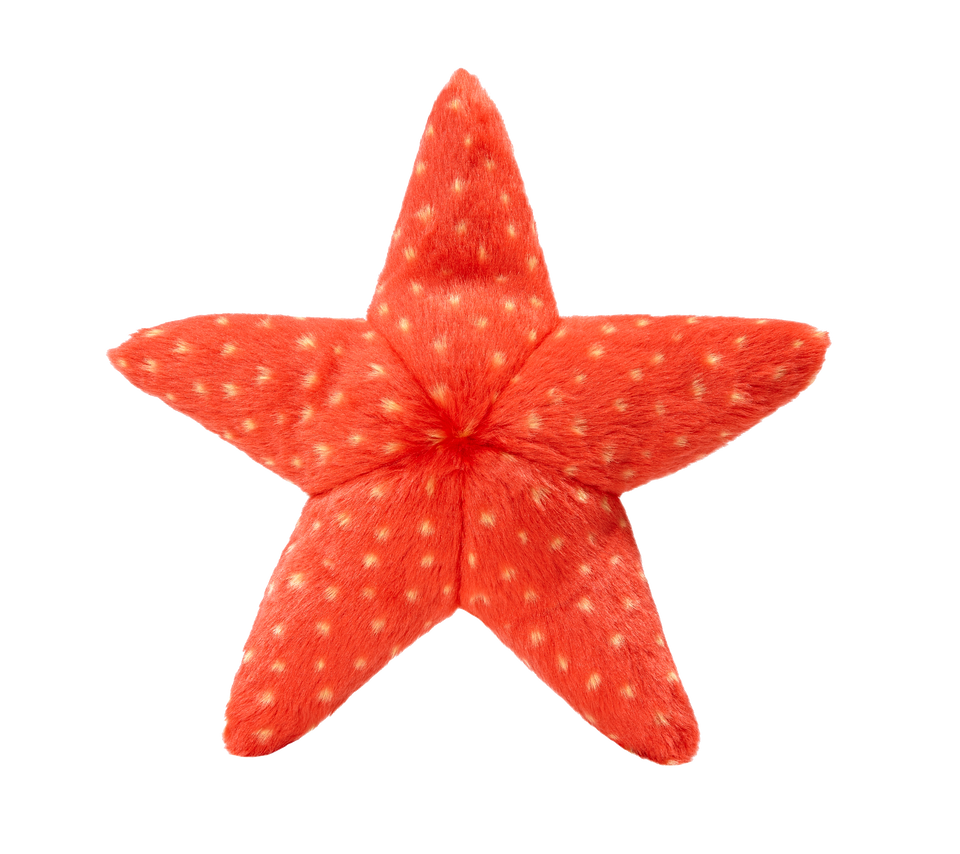 Fluff &amp; Tuff - Ziggy Starfish