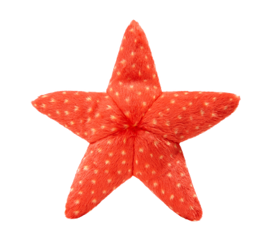Fluff &amp; Tuff - Ziggy Starfish