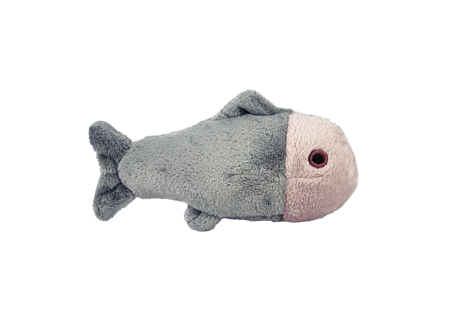Fluff &amp; Tuff - Guppy Fish