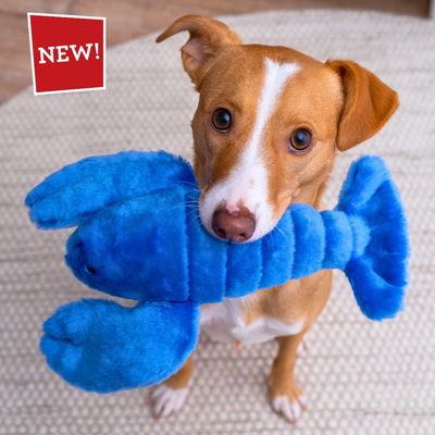 Fluff &amp; Tuff - Lucky Lobster