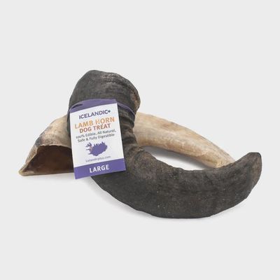 Icelandic+ Lamb Horn, Large