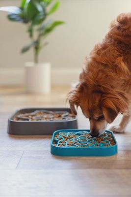 Messy Mutts Slow Feeder Square