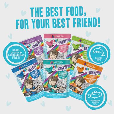 Weruva BFF OMG Gravy Pouch - Land &amp; Sea Lovers, 2.8oz