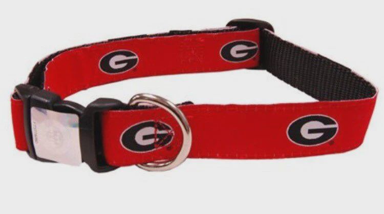 Georgia Collegiate Collar