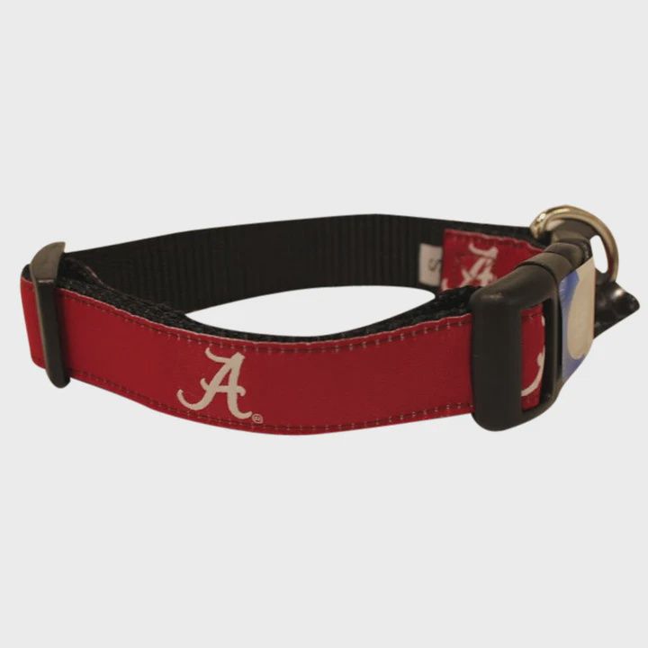 Alabama Collegiate Collar