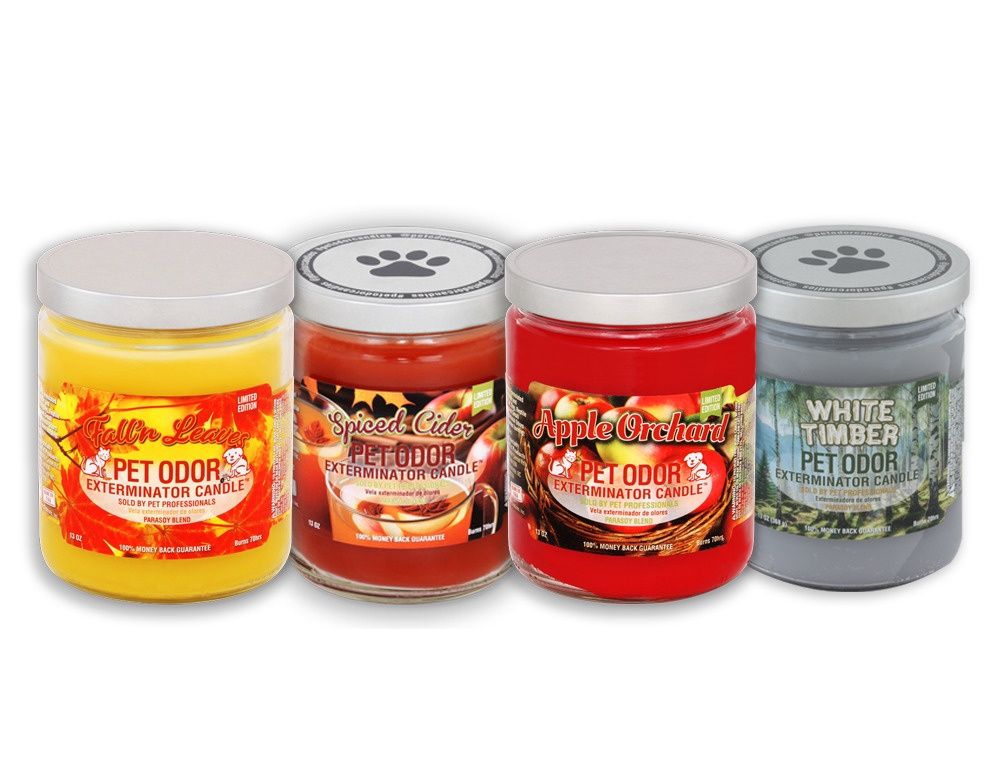 Pet Odor Exterminator Candle - Fall Collection