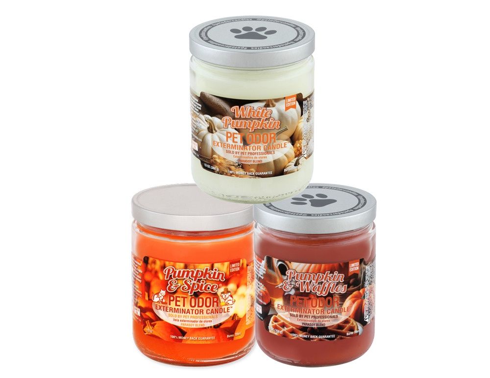 Pet Odor Exterminator Candle - Pumpkin Patch Collection