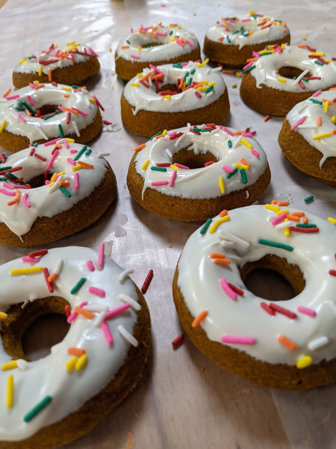 Doggie Doughnuts