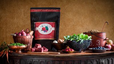 Fromm Four-Star Dog Food - Beef Frittata Veg