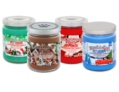 Pet Odor Exterminator Candle - Winter Collection
