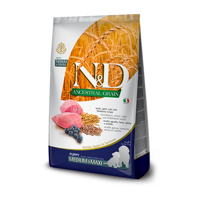 Farmina N&amp;D Ancestral Grain Puppy: Lamb &amp; Blueberry, Medium &amp; Maxi *
