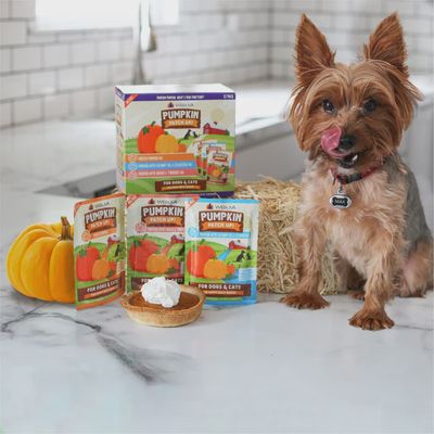 Weruva Pumpkin Patch Up