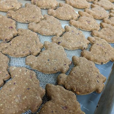 Turkey &amp; Cranberry Cookies