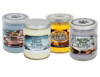 Pet Odor Exterminator Candle - Safe &amp; Snug Collection