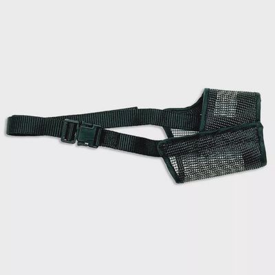 Coastal Muzzle, Best Fit Mesh