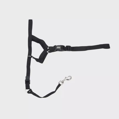 Coastal Walk&#39;n Train Head Halter