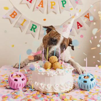 Party Pupsicle