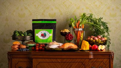 Fromm Four-Star Cat Food - Surf &amp; Turf