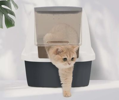Catit Litter Box with Airsift Filter System