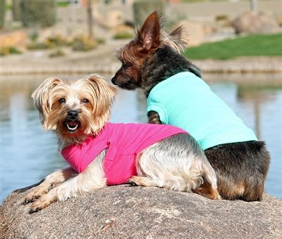 Doggie Design Tank
