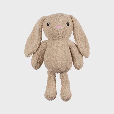 PetShop Hoppy to See You Toy