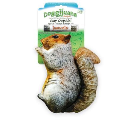 Doggijuana Get Outside Squirrel Refillable Dog Toy