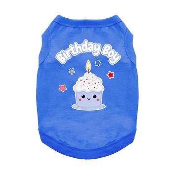 DD Birthday Boy Tank Top, Blue