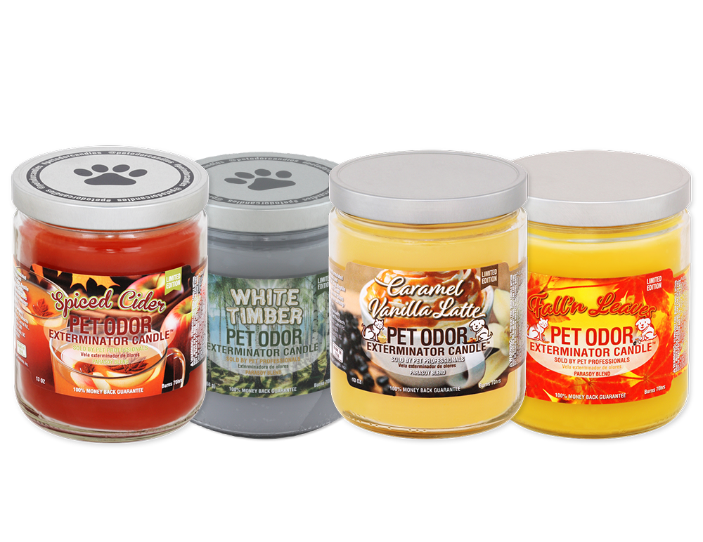 Pet Odor Exterminator Candle - Fall Collection
