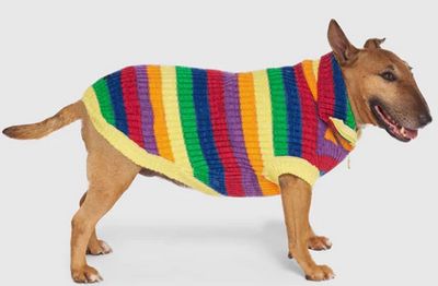 CP Over the Rainbow Sweater, 20"