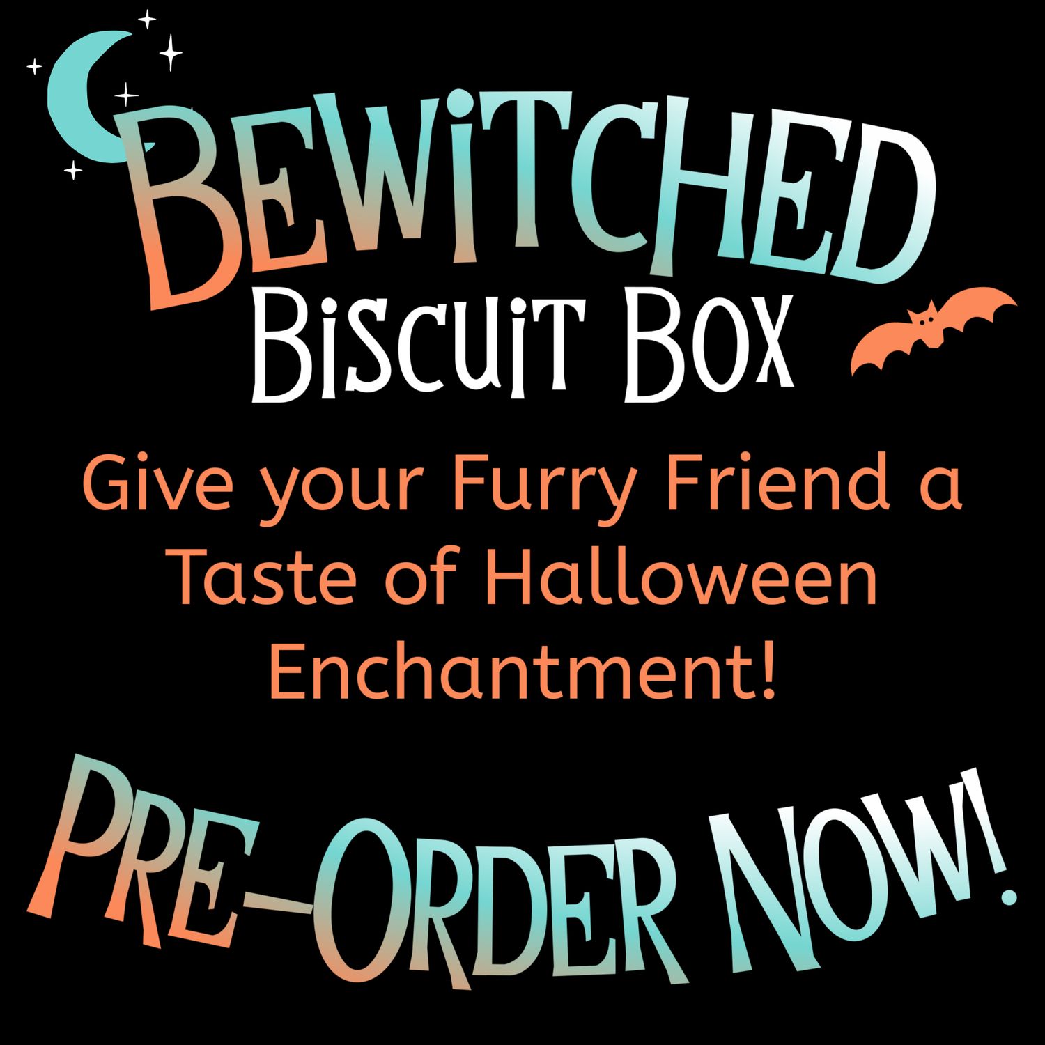 Bewitched Biscuit Box