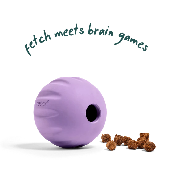 Woof Flyball, Variant: Lavender